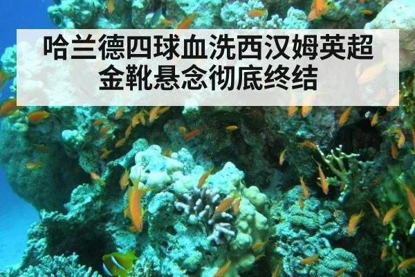 哈兰德四球血洗西汉姆英超金靴悬念彻底终结
