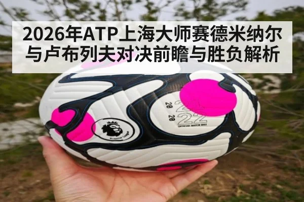 2026年ATP上海大师赛德米纳尔与卢布列夫对决前瞻与胜负解析